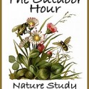 Outdoor Hour Nature Study
