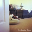 WonderDogSleep