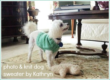 knit dog sweater