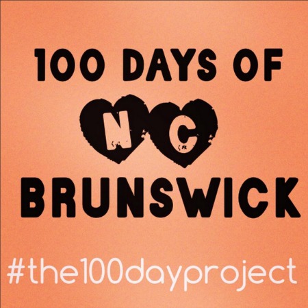 the 100 day project