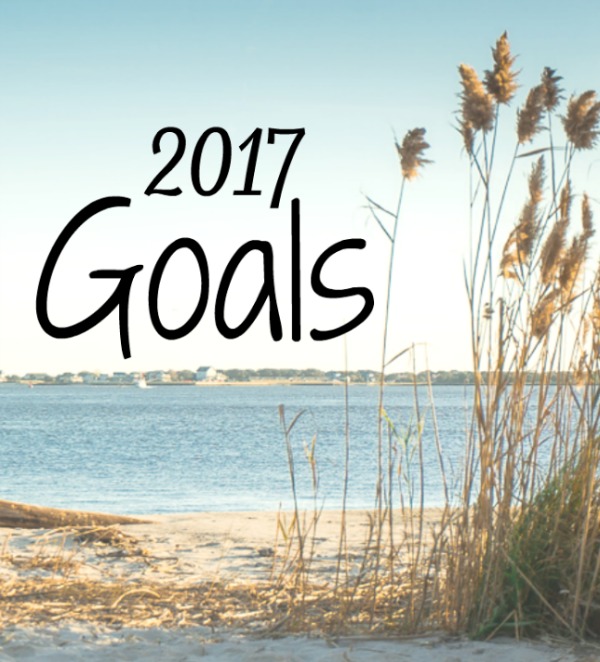 2017 Goals
