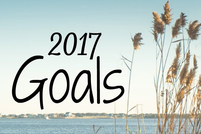 2017 Goals