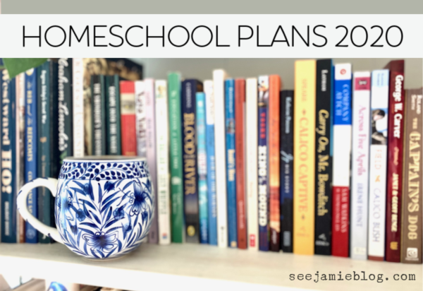 homeschool plans 2020